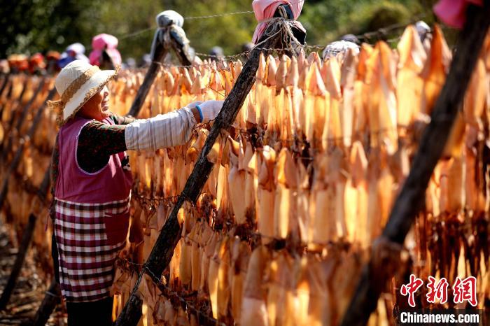 
北大医院黄牛代挂号电话票贩子号贩子网上预约挂号,住院检查加快,山东日照：鱼虾丰收“晒秋”忙