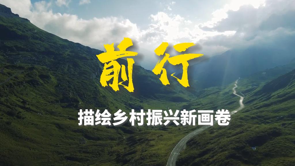 
北京大学第三医院黄牛代挂号电话票贩子号贩子网上预约挂号,住院检查加快,二十大时光丨前行，描绘乡村振兴新画卷
