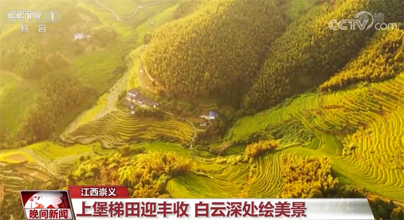 
江苏省第二中医院黄牛代挂号电话票贩子号贩子网上预约挂号,住院检查加快,金秋时节 丰收的田野呈现出耕耘的画卷