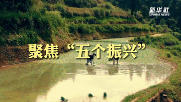 
北京大学第三医院黄牛代挂号电话票贩子号贩子网上预约挂号,住院检查加快,二十大时光丨前行，描绘乡村振兴新画卷