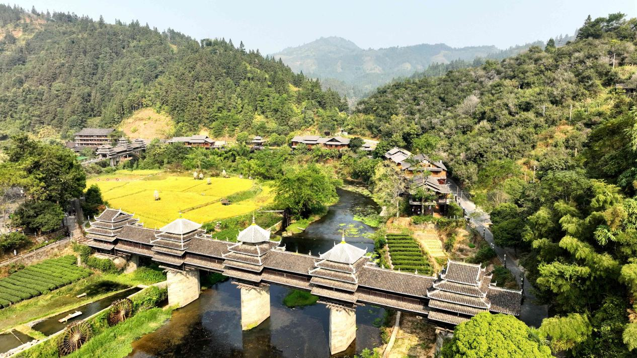 
上海中山医院黄牛代挂号电话票贩子号贩子网上预约挂号,住院检查加快,广西三江：沃野环抱村屯 侗寨秋色如画