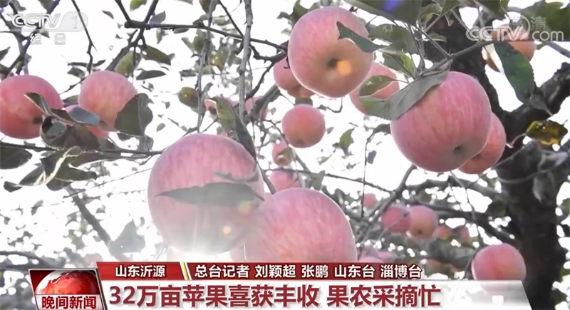 
江苏省第二中医院黄牛代挂号电话票贩子号贩子网上预约挂号,住院检查加快,金秋时节 丰收的田野呈现出耕耘的画卷