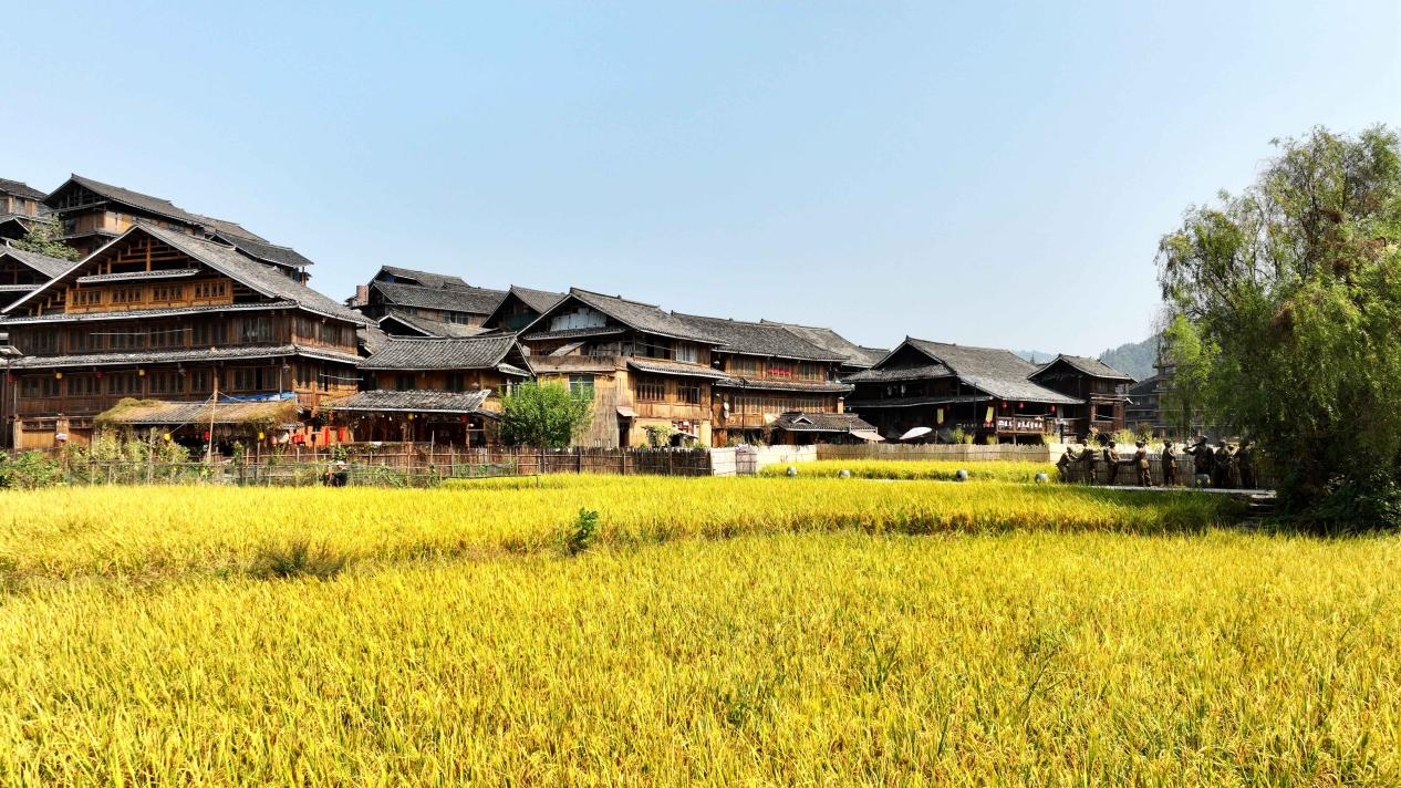 
上海中山医院黄牛代挂号电话票贩子号贩子网上预约挂号,住院检查加快,广西三江：沃野环抱村屯 侗寨秋色如画