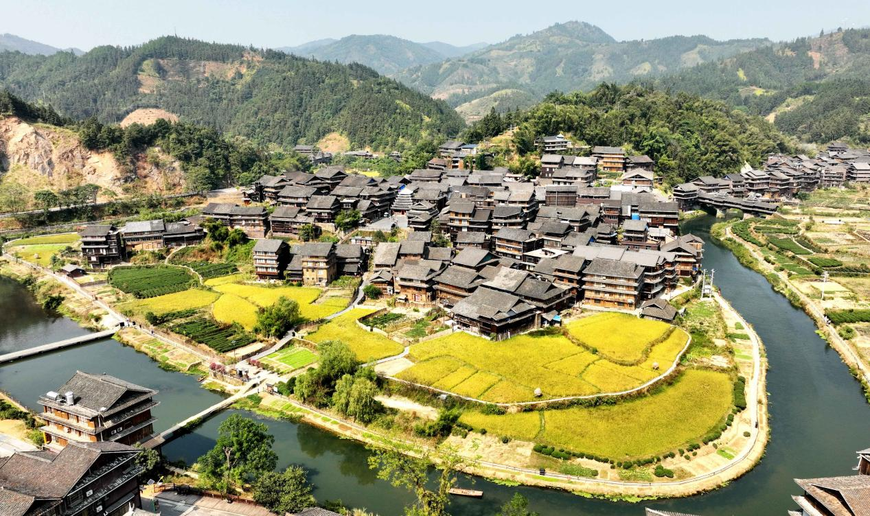 
上海中山医院黄牛代挂号电话票贩子号贩子网上预约挂号,住院检查加快,广西三江：沃野环抱村屯 侗寨秋色如画