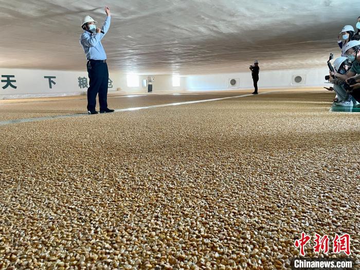 
南京中科研究所黄牛代挂号电话票贩子号贩子网上预约挂号,住院检查加快,南方籼米主产区广西守护“八桂粮仓”