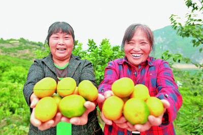 
北京大学第三医院黄牛代挂号电话票贩子号贩子网上预约挂号,住院检查加快,笑颜灿烂 幸福绽放