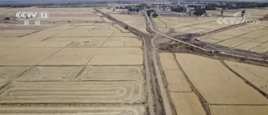 
江苏省中医院黄牛代挂号电话票贩子号贩子网上预约挂号,住院检查加快,黑龙江全省粮食作物收获面积近九成