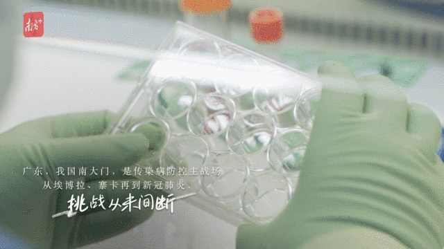 
北医六院黄牛代挂号电话票贩子号贩子网上预约挂号,住院检查加快,湾区知味 | 她在方寸之间“守国门”，显微镜下苦如饴