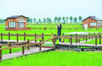
北京大学肿瘤医院黄牛代挂号电话票贩子号贩子网上预约挂号,住院检查加快,奋力绘就乡村振兴壮美画卷