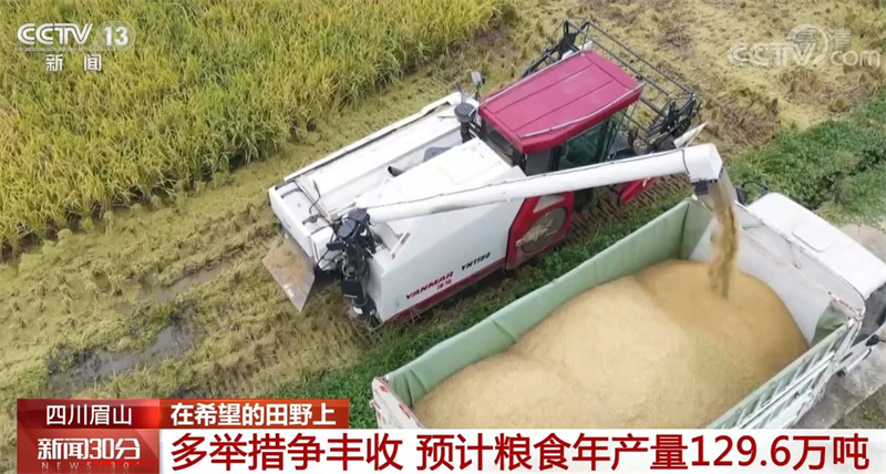 
上海胸科医院黄牛代挂号电话票贩子号贩子网上预约挂号,住院检查加快,全国各地加速推进秋收 秋冬种同步展开
