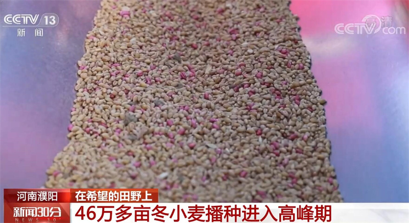 
上海胸科医院黄牛代挂号电话票贩子号贩子网上预约挂号,住院检查加快,全国各地加速推进秋收 秋冬种同步展开