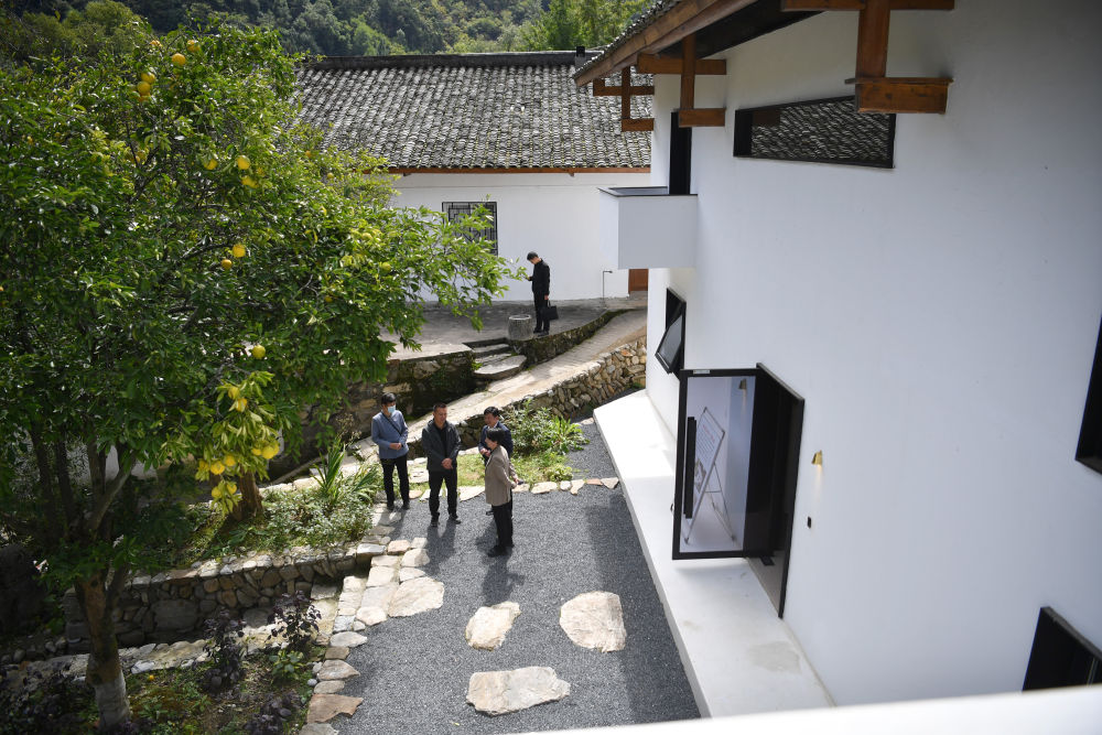 
西安各大医院黄牛代挂号电话票贩子号贩子网上预约挂号,住院检查加快,新华全媒+|秦岭：和谐共生的金秋画卷