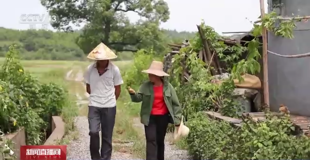 
西安各大医院黄牛代挂号电话票贩子号贩子网上预约挂号,住院检查加快,聚焦二十大丨石玉莲：把饭碗牢牢端在自己手中