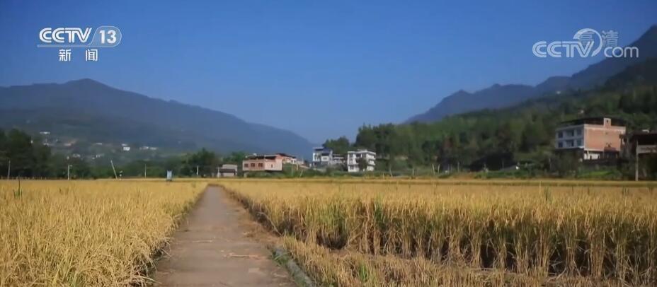 
北京肿瘤医院黄牛代挂号电话票贩子号贩子网上预约挂号,住院检查加快,重庆开州10万亩再生稻陆续进入收割期 专家指导保稳产