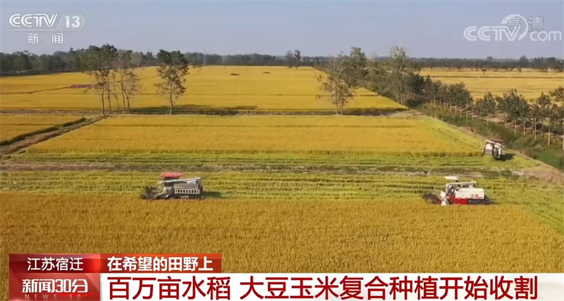 
上海胸科医院黄牛代挂号电话票贩子号贩子网上预约挂号,住院检查加快,全国各地加速推进秋收 秋冬种同步展开