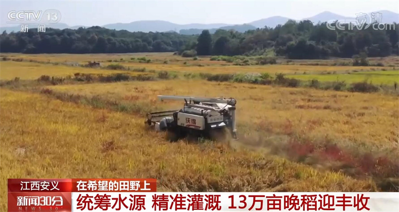 
上海胸科医院黄牛代挂号电话票贩子号贩子网上预约挂号,住院检查加快,全国各地加速推进秋收 秋冬种同步展开