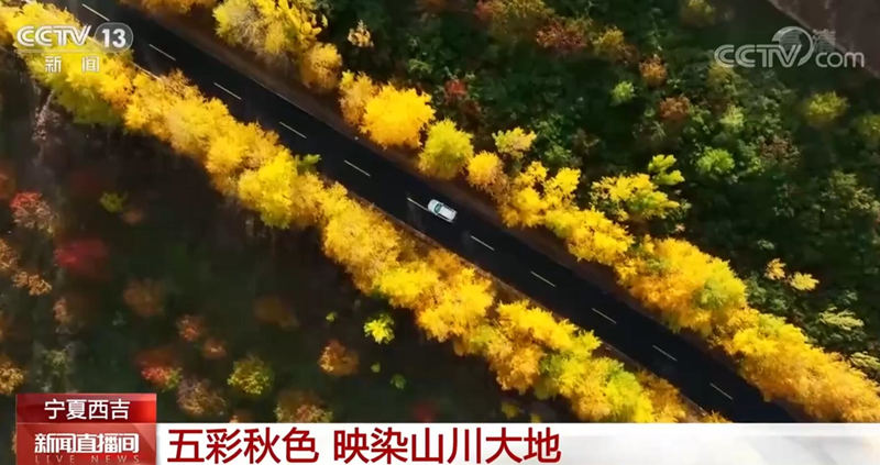 
北大医院黄牛代挂号电话票贩子号贩子网上预约挂号,住院检查加快,宁夏西吉迎来最绚丽的季节 五彩秋色映染山川大地