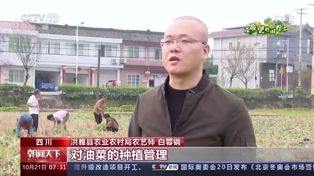 
长沙各大医院黄牛代挂号电话票贩子号贩子网上预约挂号,住院检查加快,在希望的田野上丨全国秋冬种过半 各地全力提升播种质量