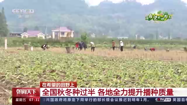 
长沙各大医院黄牛代挂号电话票贩子号贩子网上预约挂号,住院检查加快,在希望的田野上丨全国秋冬种过半 各地全力提升播种质量