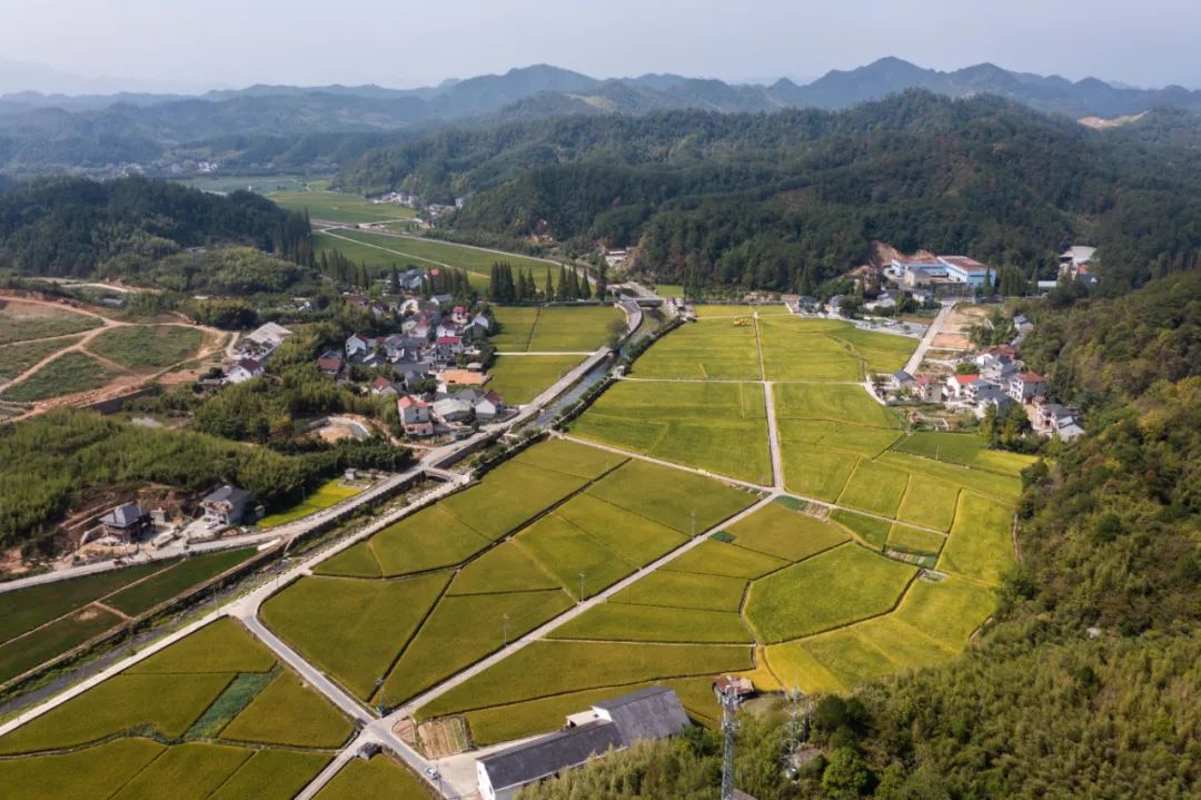 
南京军区总医院黄牛代挂号电话票贩子号贩子网上预约挂号,住院检查加快,为什么共同富裕等不得也急不得