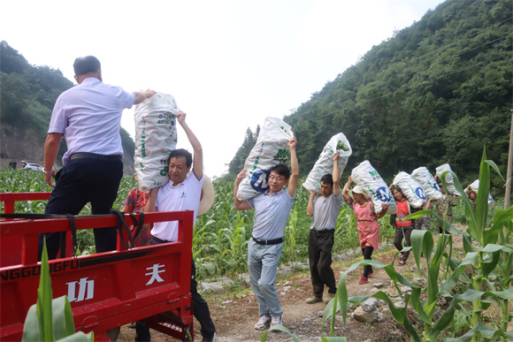 
北京朝阳医院黄牛代挂号电话票贩子号贩子网上预约挂号,住院检查加快,我看家乡新变化丨巫山石院村：蔬菜销往大城市 康养留下外来客