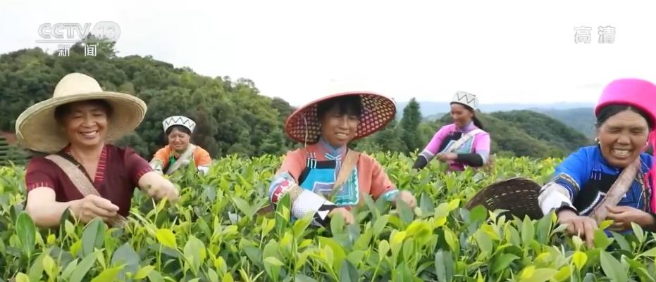 
北京儿童医院黄牛代挂号电话票贩子号贩子网上预约挂号,住院检查加快,用更多举措提升群众“幸福指数”