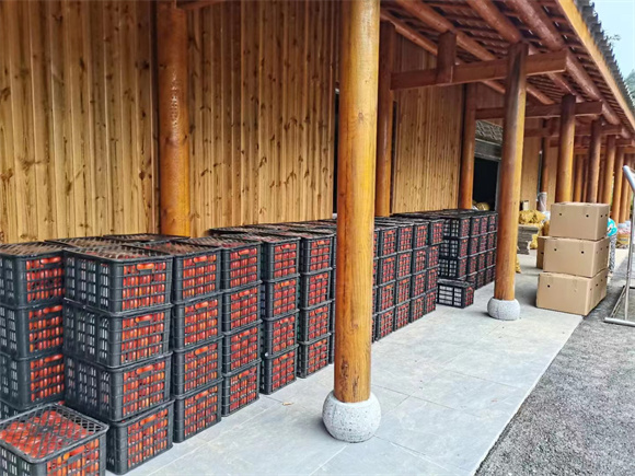 
北京朝阳医院黄牛代挂号电话票贩子号贩子网上预约挂号,住院检查加快,我看家乡新变化丨巫山石院村：蔬菜销往大城市 康养留下外来客