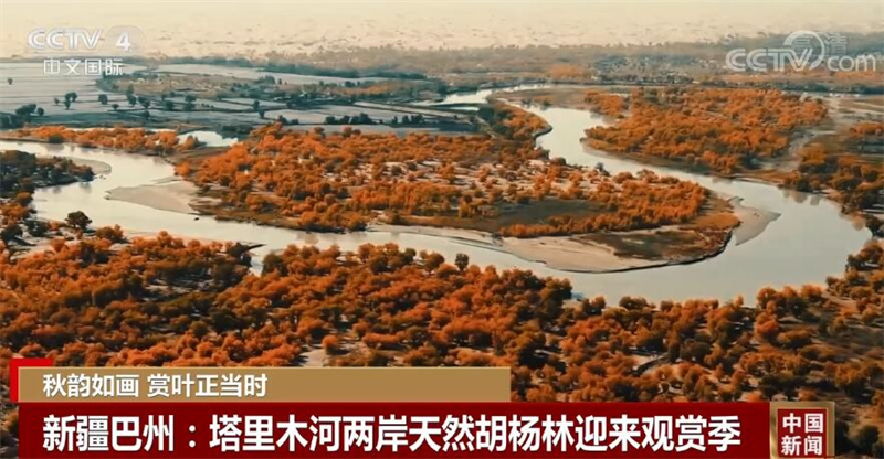 
江苏省第二中医院黄牛代挂号电话票贩子号贩子网上预约挂号,住院检查加快,金秋十月 中国多地五彩斑斓的秋景美不胜收
