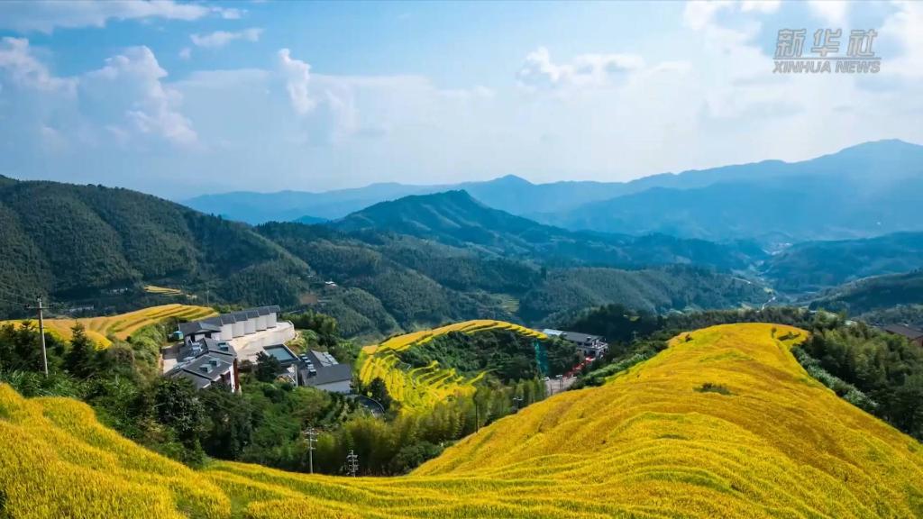 
沈阳医大二院黄牛代挂号电话票贩子号贩子网上预约挂号,住院检查加快,新华全媒+｜江西崇义：巧用农业文化遗产助推乡村振兴