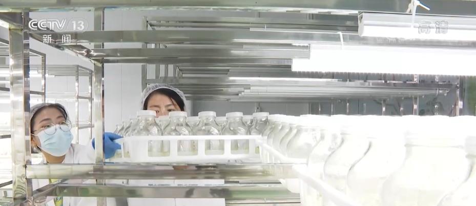 
北京儿童医院黄牛代挂号电话票贩子号贩子网上预约挂号,住院检查加快,用更多举措提升群众“幸福指数”