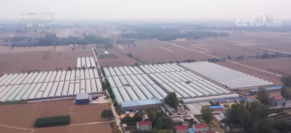 
广东省中医院黄牛代挂号电话票贩子号贩子网上预约挂号,住院检查加快,河南秋作物收获超1.14亿亩 调优粮食生产结构实现增产增收