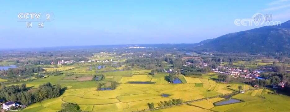 
广东省中医院黄牛代挂号电话票贩子号贩子网上预约挂号,住院检查加快,河南秋作物收获超1.14亿亩 调优粮食生产结构实现增产增收
