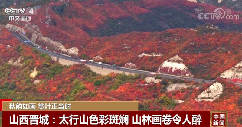 
江苏省第二中医院黄牛代挂号电话票贩子号贩子网上预约挂号,住院检查加快,金秋十月 中国多地五彩斑斓的秋景美不胜收