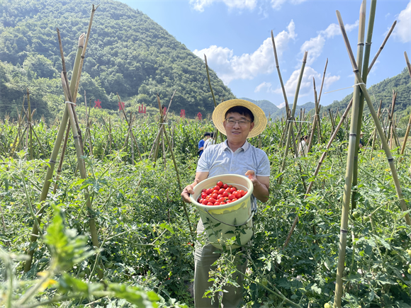 
北京朝阳医院黄牛代挂号电话票贩子号贩子网上预约挂号,住院检查加快,我看家乡新变化丨巫山石院村：蔬菜销往大城市 康养留下外来客