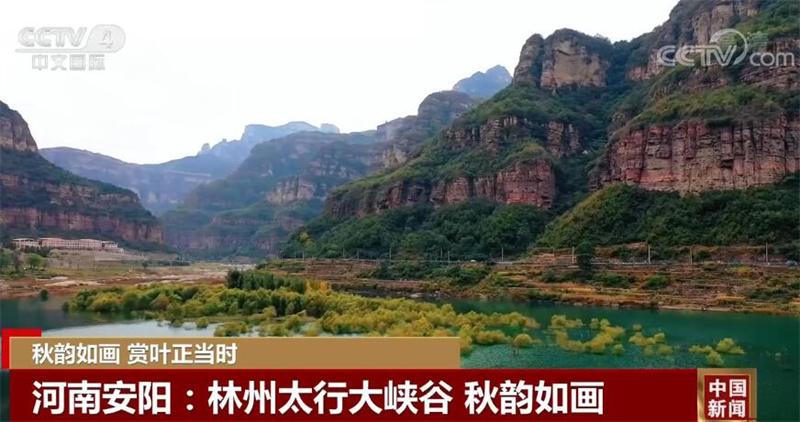 
江苏省第二中医院黄牛代挂号电话票贩子号贩子网上预约挂号,住院检查加快,金秋十月 中国多地五彩斑斓的秋景美不胜收