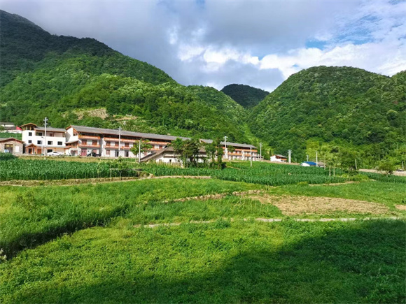 
北京朝阳医院黄牛代挂号电话票贩子号贩子网上预约挂号,住院检查加快,我看家乡新变化丨巫山石院村：蔬菜销往大城市 康养留下外来客