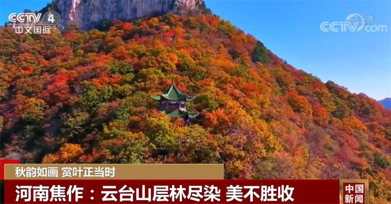 
江苏省第二中医院黄牛代挂号电话票贩子号贩子网上预约挂号,住院检查加快,金秋十月 中国多地五彩斑斓的秋景美不胜收