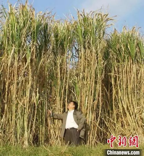 
中山二院黄牛代挂号电话票贩子号贩子网上预约挂号,住院检查加快,“菌草之父”林占熺的两份“山海情”