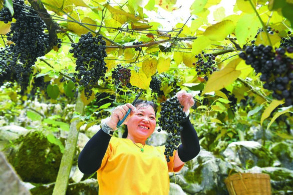 
首都医科大学附属阜外医院黄牛代挂号电话票贩子号贩子网上预约挂号,住院检查加快,乡村振兴重点帮扶县这样做好“衔接”文章