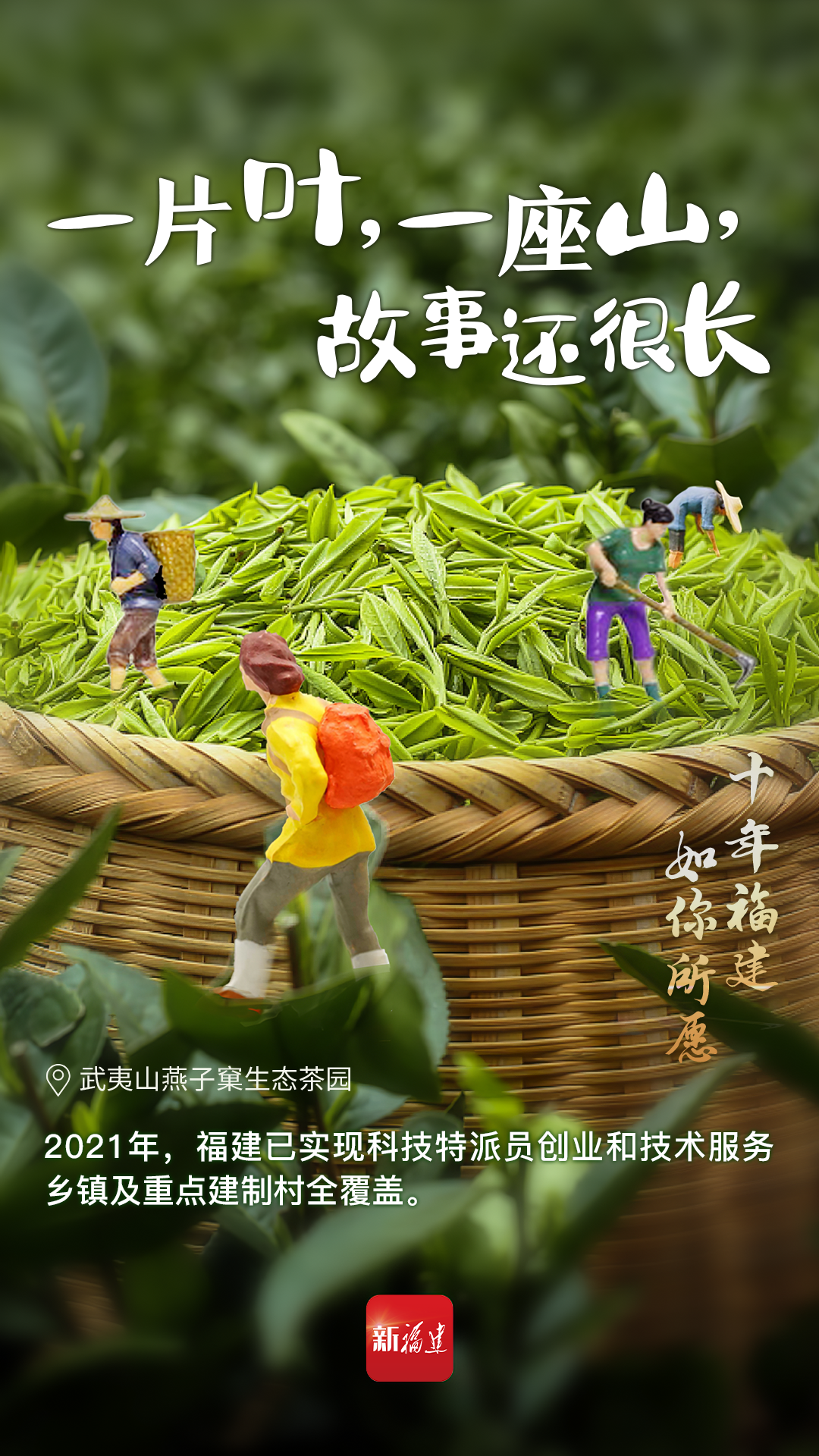 
江苏省人民医院黄牛代挂号电话票贩子号贩子网上预约挂号,住院检查加快,十年福建 如你所愿