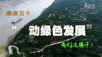 
天津各大医院黄牛代挂号电话票贩子号贩子网上预约挂号,住院检查加快,未来五年，我们这样干