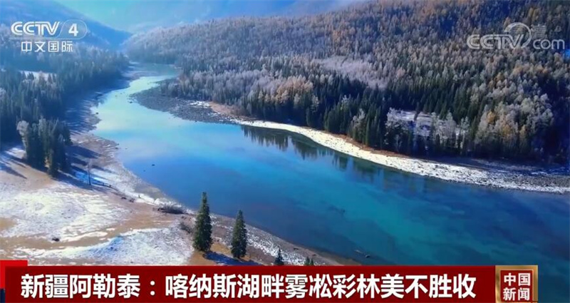 
杭州市第一人民医院黄牛代挂号电话票贩子号贩子网上预约挂号,住院检查加快,中国多地迎来迁徙候鸟 绘成一幅幅美丽和谐的生态画卷