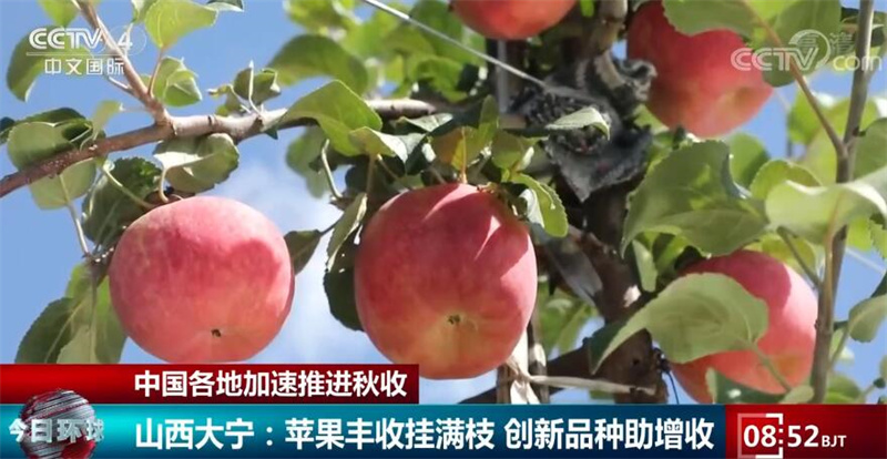 
湖南中医附一医院黄牛代挂号电话票贩子号贩子网上预约挂号,住院检查加快,中国各地加速推进秋收 丰收画卷让村民们喜上眉梢