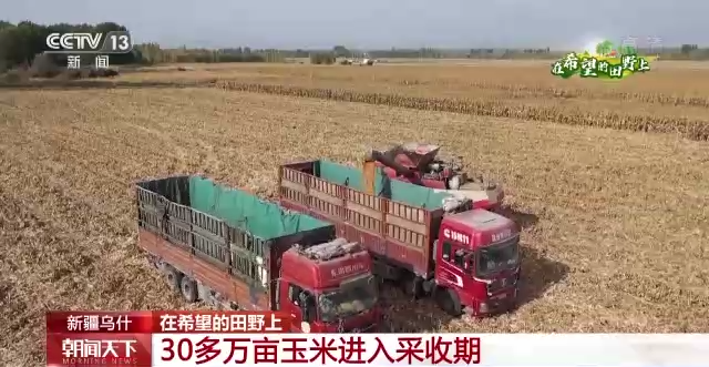 
上海胸科医院黄牛代挂号电话票贩子号贩子网上预约挂号,住院检查加快,在希望的田野上丨“三秋”生产关键期 各地秋收加速推进