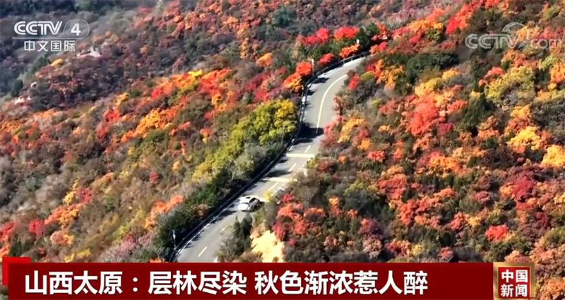 
杭州市第一人民医院黄牛代挂号电话票贩子号贩子网上预约挂号,住院检查加快,中国多地迎来迁徙候鸟 绘成一幅幅美丽和谐的生态画卷