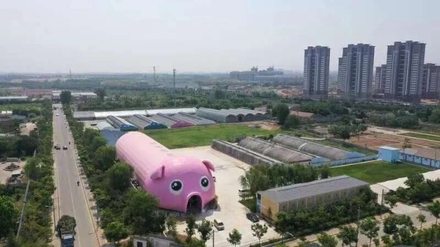 
上海肿瘤医院黄牛代挂号电话票贩子号贩子网上预约挂号,住院检查加快,如何同心共圆中国梦？四位曾与总书记面对面的青年这样回答