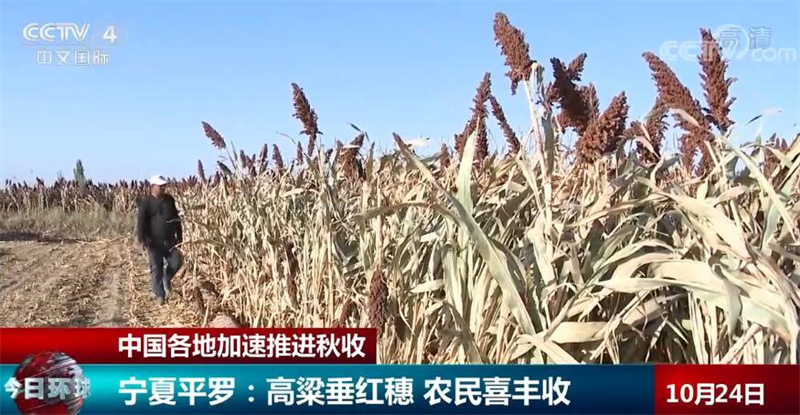 
湖南中医附一医院黄牛代挂号电话票贩子号贩子网上预约挂号,住院检查加快,中国各地加速推进秋收 丰收画卷让村民们喜上眉梢
