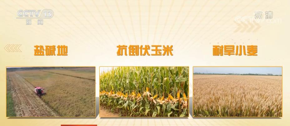 
首都医科大学附属北京妇产医院黄牛代挂号电话票贩子号贩子网上预约挂号,住院检查加快,全方位夯实粮食安全根基 十年再上一个千亿斤新台阶