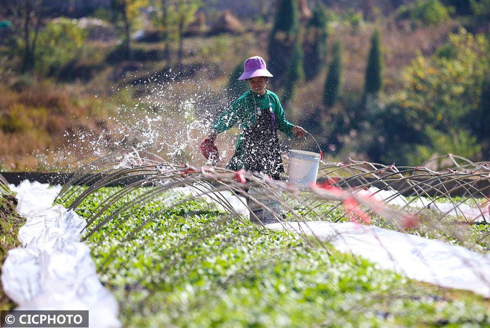 
广州口腔医院黄牛代挂号电话票贩子号贩子网上预约挂号,住院检查加快,金秋十月农事忙