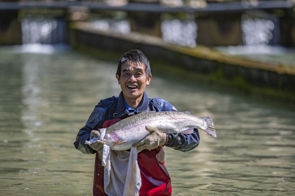 
天津血液研究所黄牛代挂号电话票贩子号贩子网上预约挂号,住院检查加快,新华全媒+｜重庆城口：巩固拓展脱贫攻坚成果同乡村振兴有效衔接观察